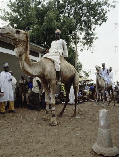 The market place at Sokoto, capital of one of the major Hausa-Fulani states on the edge of the Sahel, formerly a major entrepot for trans-Saharan trade and the kola nut trade with Ghana