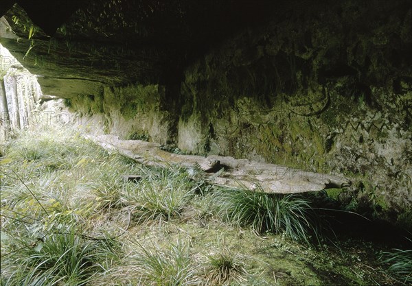 Kaingaroa caves