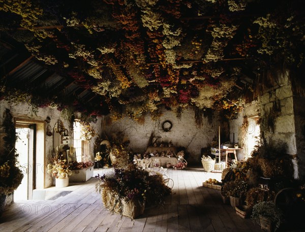 Dried flowers hang in bunches from the tin ceiling at Three Spring Station