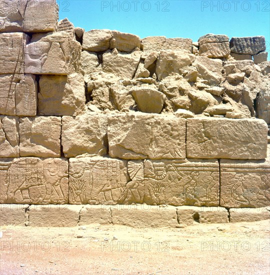 A frieze of elephants on a building at the Meroitic temple of Musawarat-as-Safra