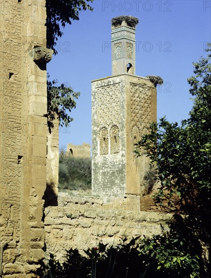 The minaret of one of the two mosques which lie inside the Chellah Necropolis