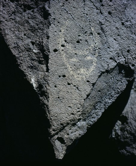 The Rio Grande petroglyphs