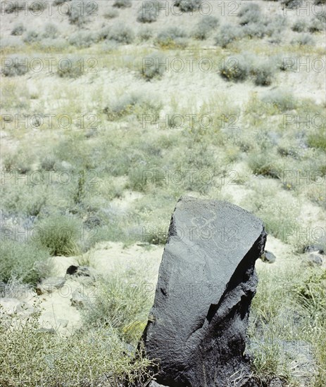 The Rio Grande petroglyphs