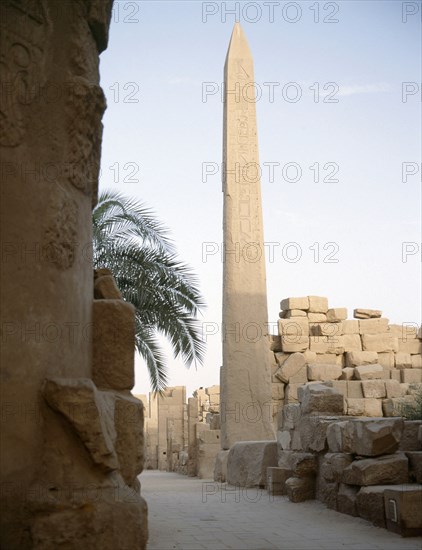 The obelisk of Tuthmosis I seen from the west