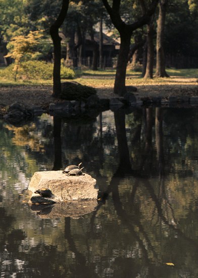 The Zen garden of the Ryoan-ji temple in Kyoto