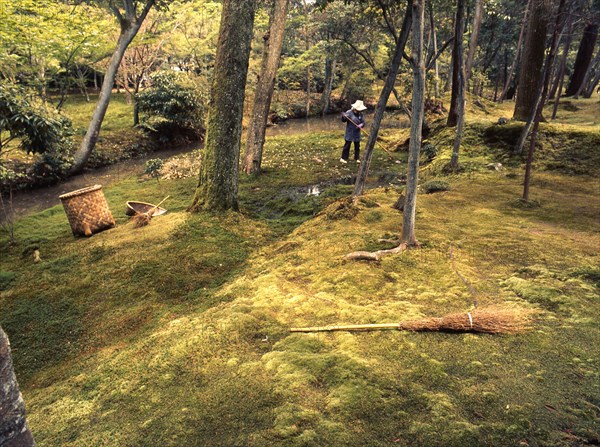 The moss garden, Saiho-ji, Kyoto