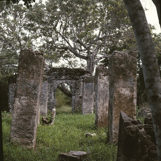 The ruins of Kunduchi, an East African coastal trading settlement built by Arab merchants in the 16th century