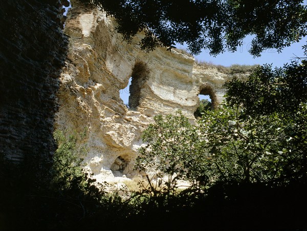 Wooded area of Cuma, a well-known oracle site