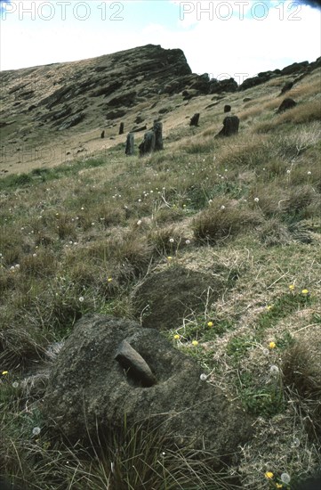 Detail of the interior slope of Rano Raraku