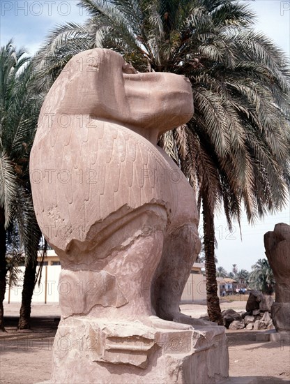 One of the colossal statues of the god Thoth, in his baboon aspect, at Hermopolis Magna