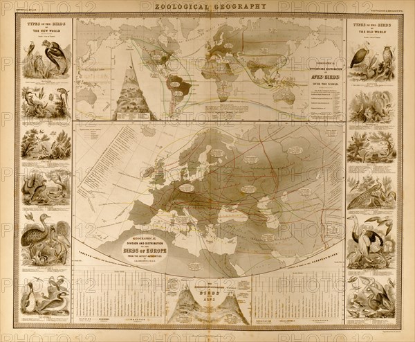 Zoological Geography; Birds of the World 1848