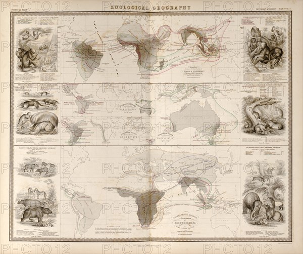 Zoological Geography; Birds of the World; Primates, Pachydrms, Marsupials & Primates 1848