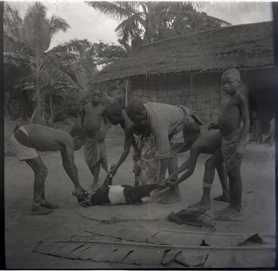 Bekundi meeting, killing the first goat