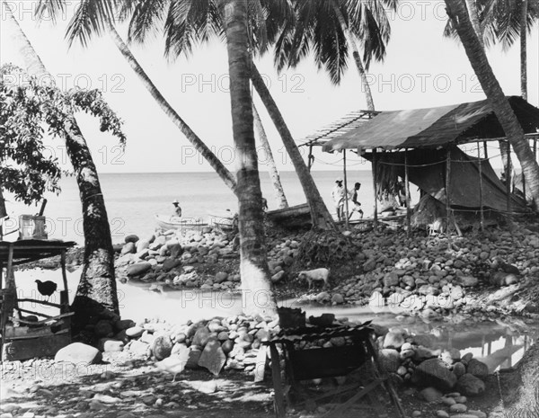 Fishing settlement, Dominica