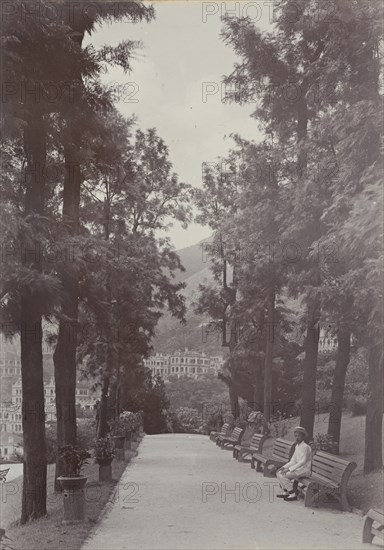 Promenade at Hong Kong's Botanical Gardens