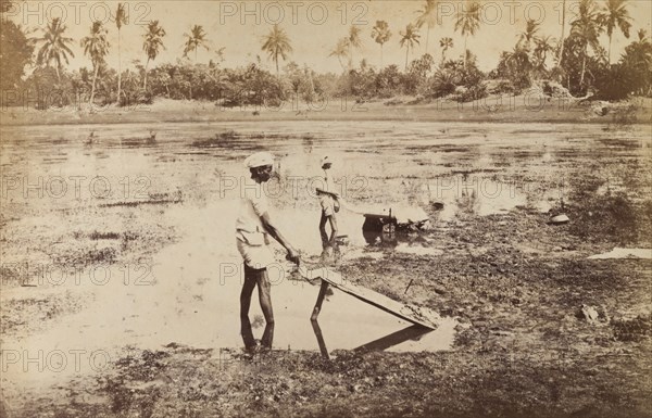 Washing clothes at Ballygunge, India