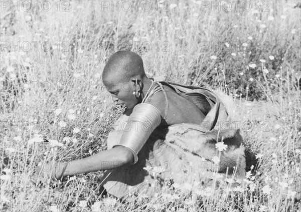 Picking pyrethrum on a Kenyan farm