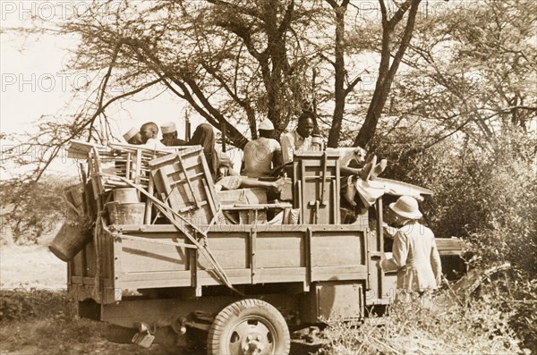 "Box-body" car ready for safari