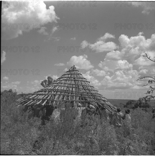 Carrying roof