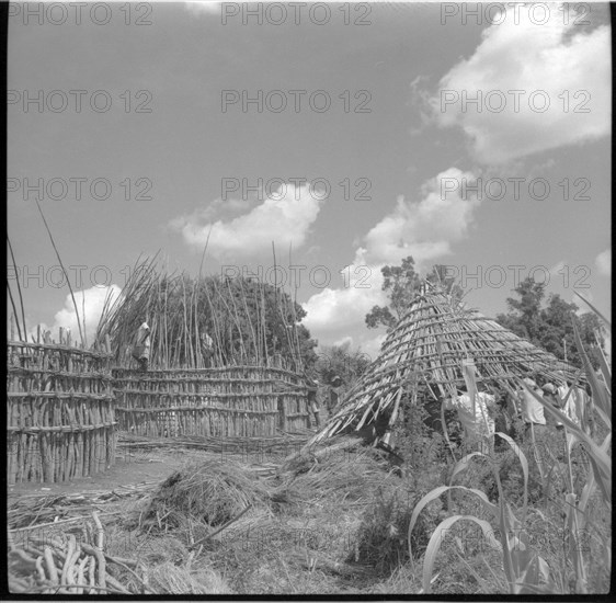 Carrying roof