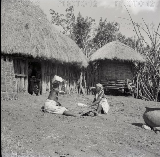 Isubo: Sisters threshing