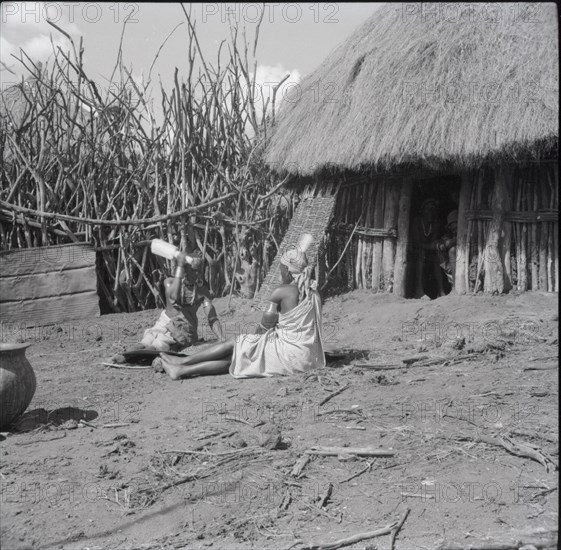 Isubo: Sisters threshing