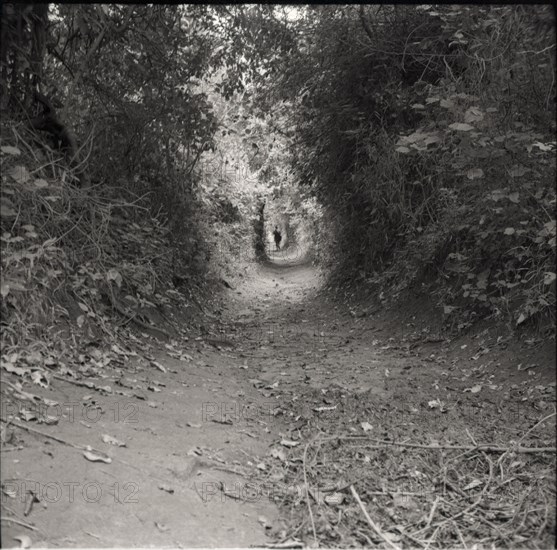 Old cattle pathway