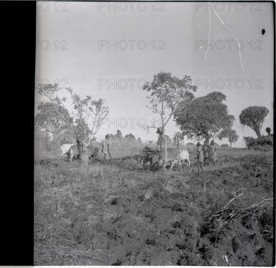 Ploughing