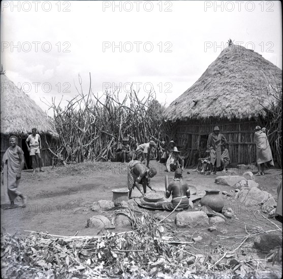 Threshing