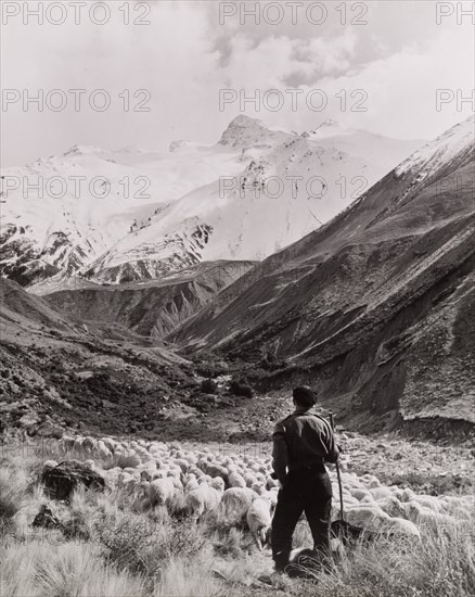 Glentanner Station, Canterbury, South Island