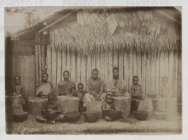 Palm nut cracking, New Calabar