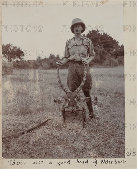 Hunted waterbuck