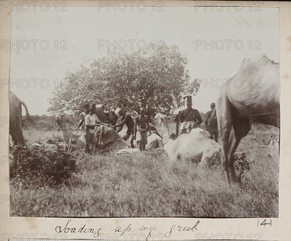 Police troops with camels