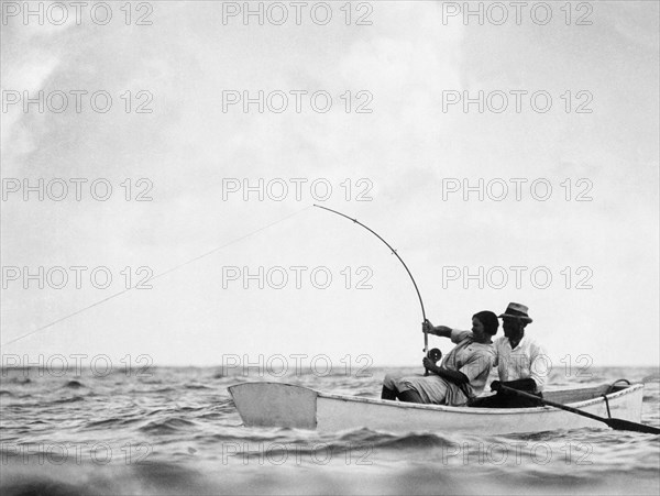 Fishing For Tarpon