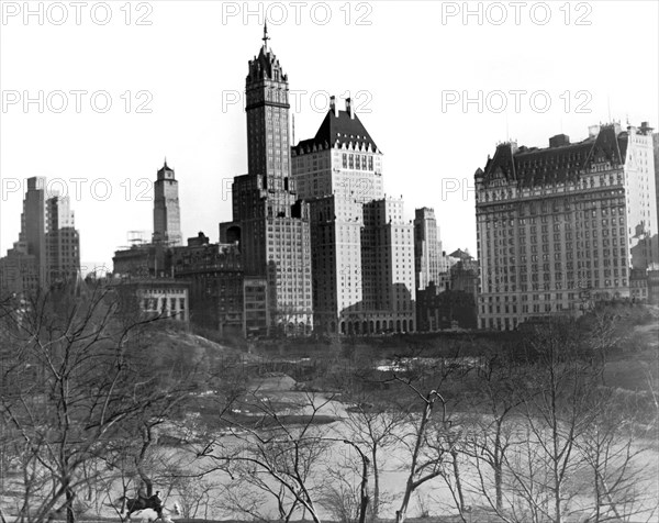 The Duck Pond in Central Park