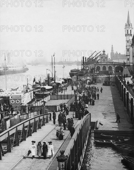 River Scheldt In Antwerp