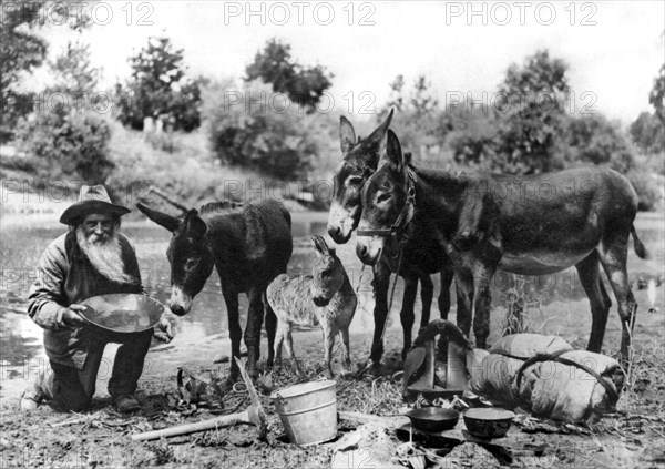 California Gold MIner