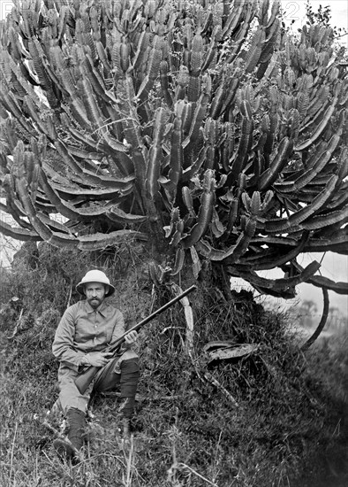 A man in Africa holding a rifle n front of a large rubber tree.