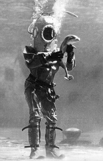 A Diver Holds A Baby Porpoise