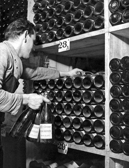 St. Moritz, Switzerland:  c. 1948.
An employee at the Palace Hotel in St. Moritz retrieves bottles of wine from their wine cellar.