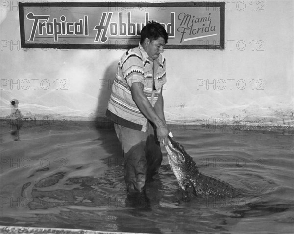 Seminole Alligator Wrestling