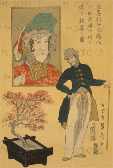 American merchant delighted with miniature cherry tree (Amerika no sho¯nin sho¯ju no sakura o motomete o¯i ni kanki no zu) 1861