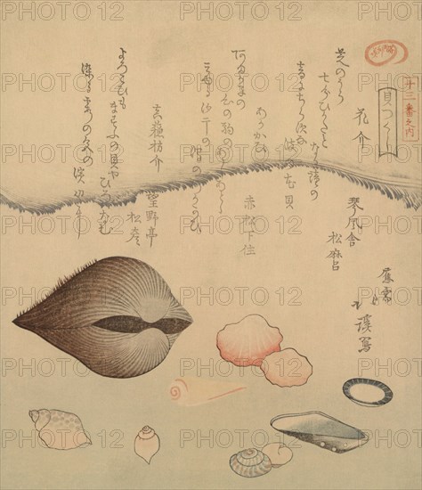 Clams 1820