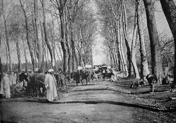 Boufarik, algeria