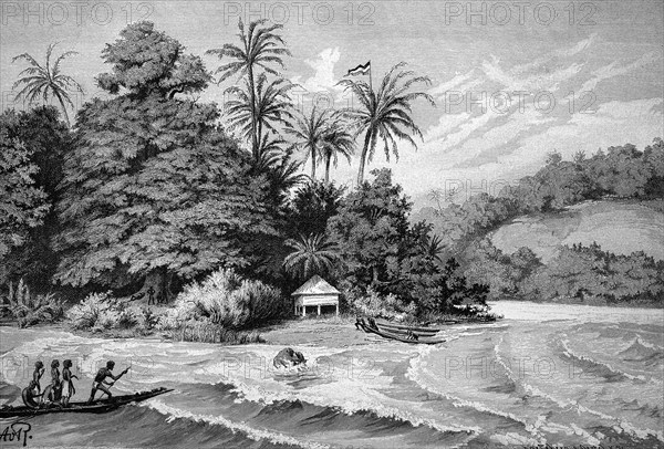 New guinea