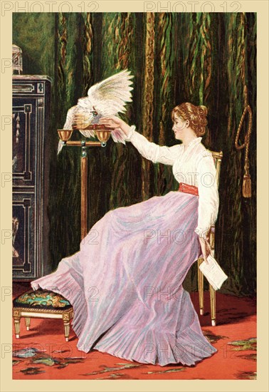 "What Shall I Tell Him, Polly?" 1870