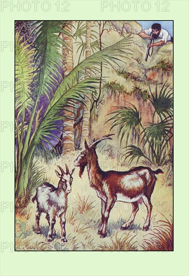 Robinson Crusoe: Having No Victuals to Eat, I Killed a She-Goat 1914