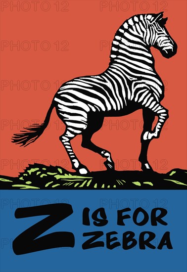 Z is for Zebra 1923