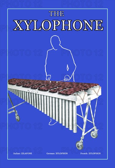 Xylophone