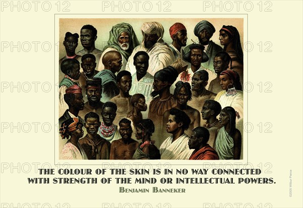 The Colour of the Skin… 2005